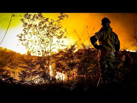 Feux de forêt en Gironde : 17 000 hectares dévastés, 32 000 personnes évacuées en une semaine