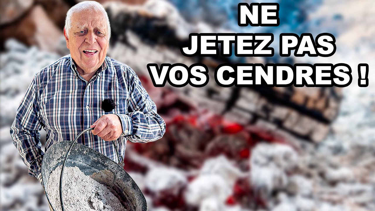 J’ai testé la cendre de bois au jardin : le résultat est BLUFFANT !