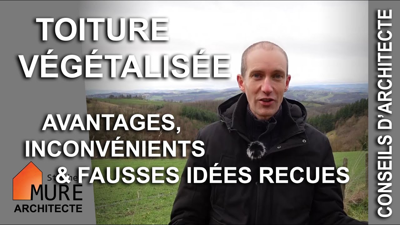 Toiture végétalisée : avantages, inconvénients (et fausses idées reçues)