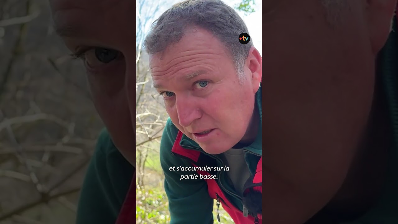 Un chantier exceptionnel pour sauver une source pétrifiante