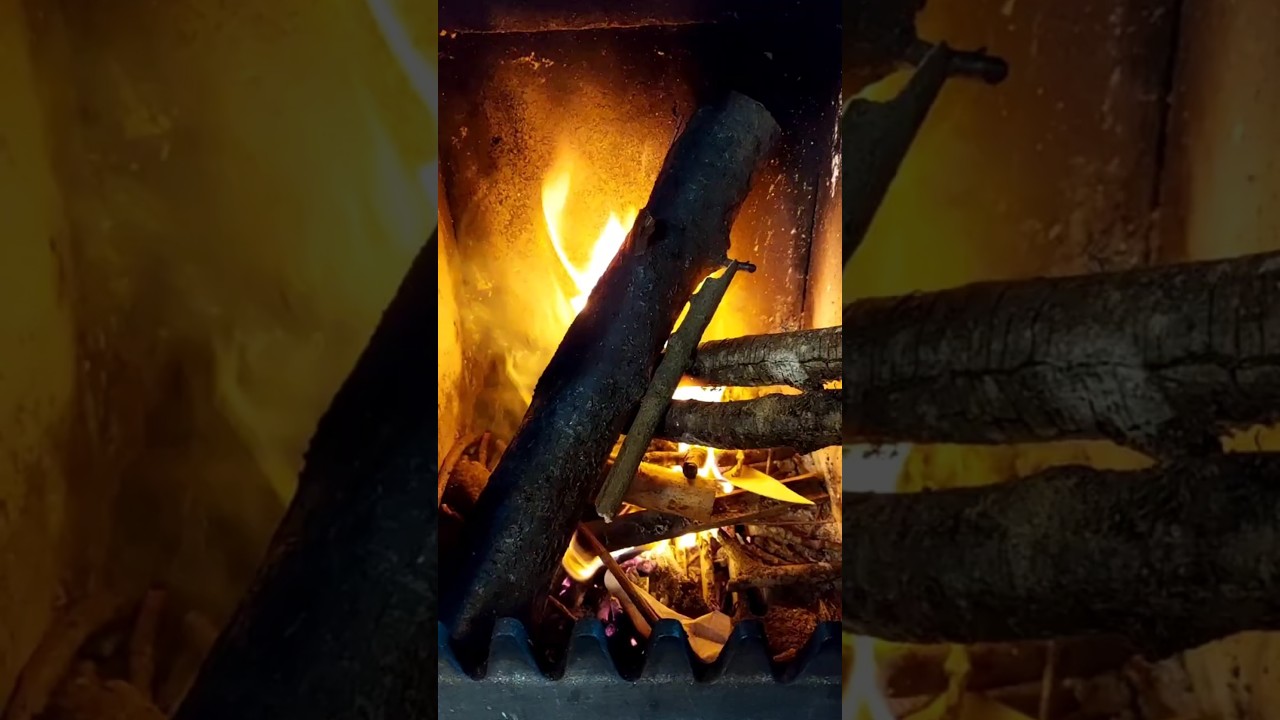 Comment allumer un feu 🔥 ?#expérience #aventure #survivor #savoirfaire #automne