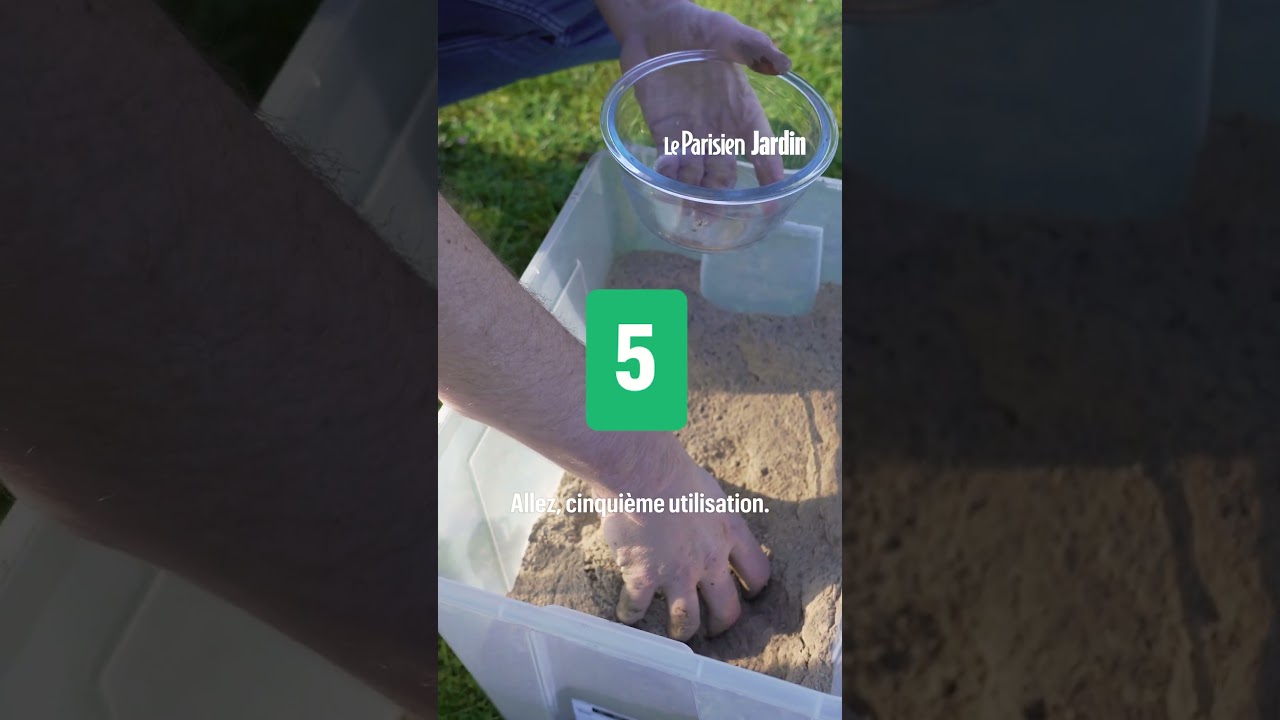 Connaissez-vous l'or gris du jardin ? Voici 5 façons d'utiliser efficacement des cendres au potager