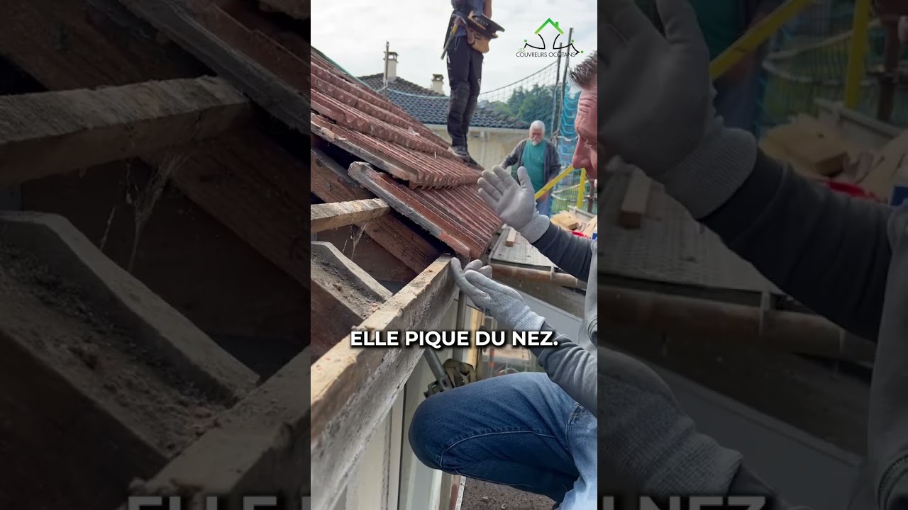 👃 Pourquoi elle pique du nez❓ #renovation #artisan #batiment #conseils #foryou