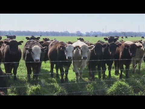 La hausse inexpliquée des émissions de méthane