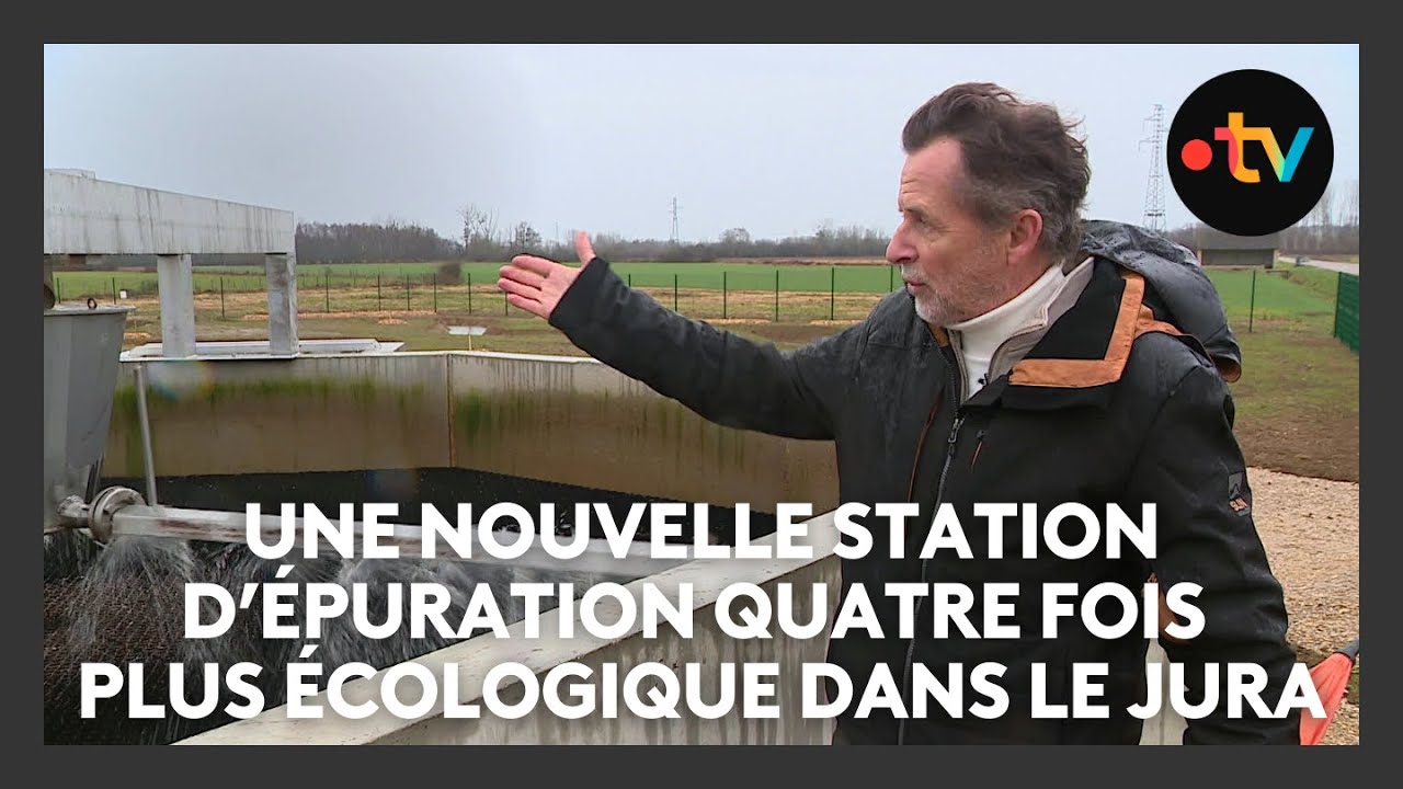 Cette station d'épuration utilise des roseaux pour nettoyer son eau