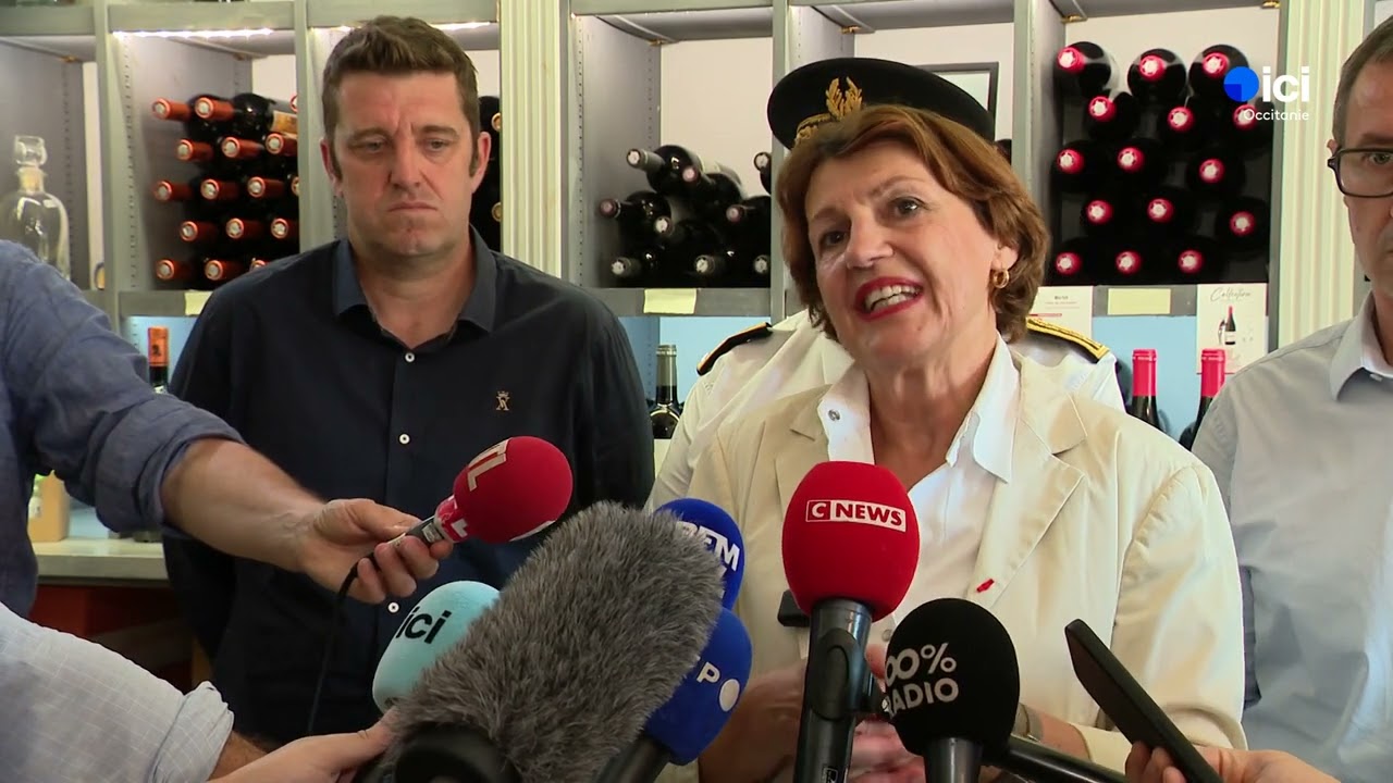 Incendie dans l'Aude : un fonds d'urgence de huit millions d'euros pour les viticulteurs sinistrés