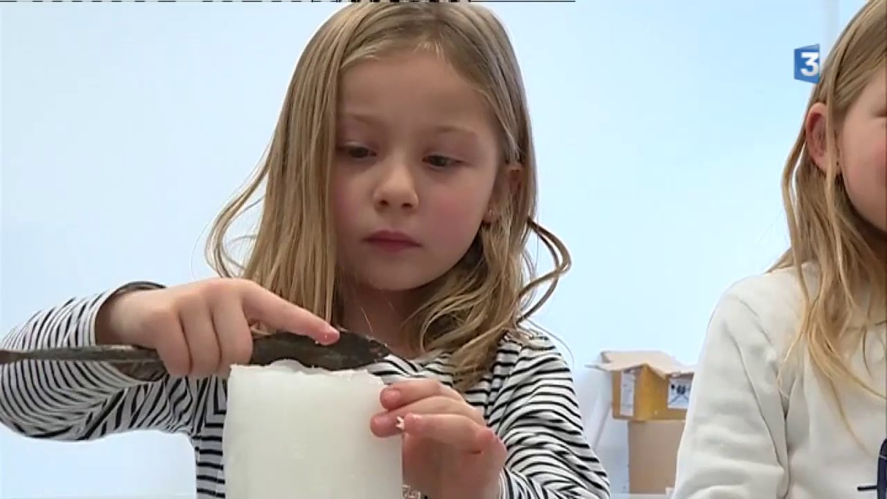Sars-Poteries : le MusVerre transforme les enfants en artistes