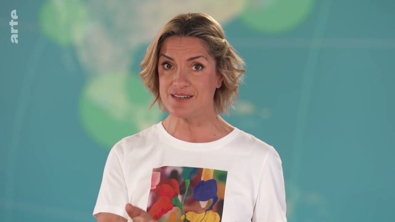 Le dessous des cartes sur ARTE:  Eolien-solaire : une révolution ?